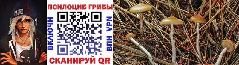 Псилоцибиновые грибы Psilocybine cubensis  Стерлитамак 